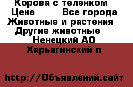 Корова с теленком › Цена ­ 69 - Все города Животные и растения » Другие животные   . Ненецкий АО,Харьягинский п.